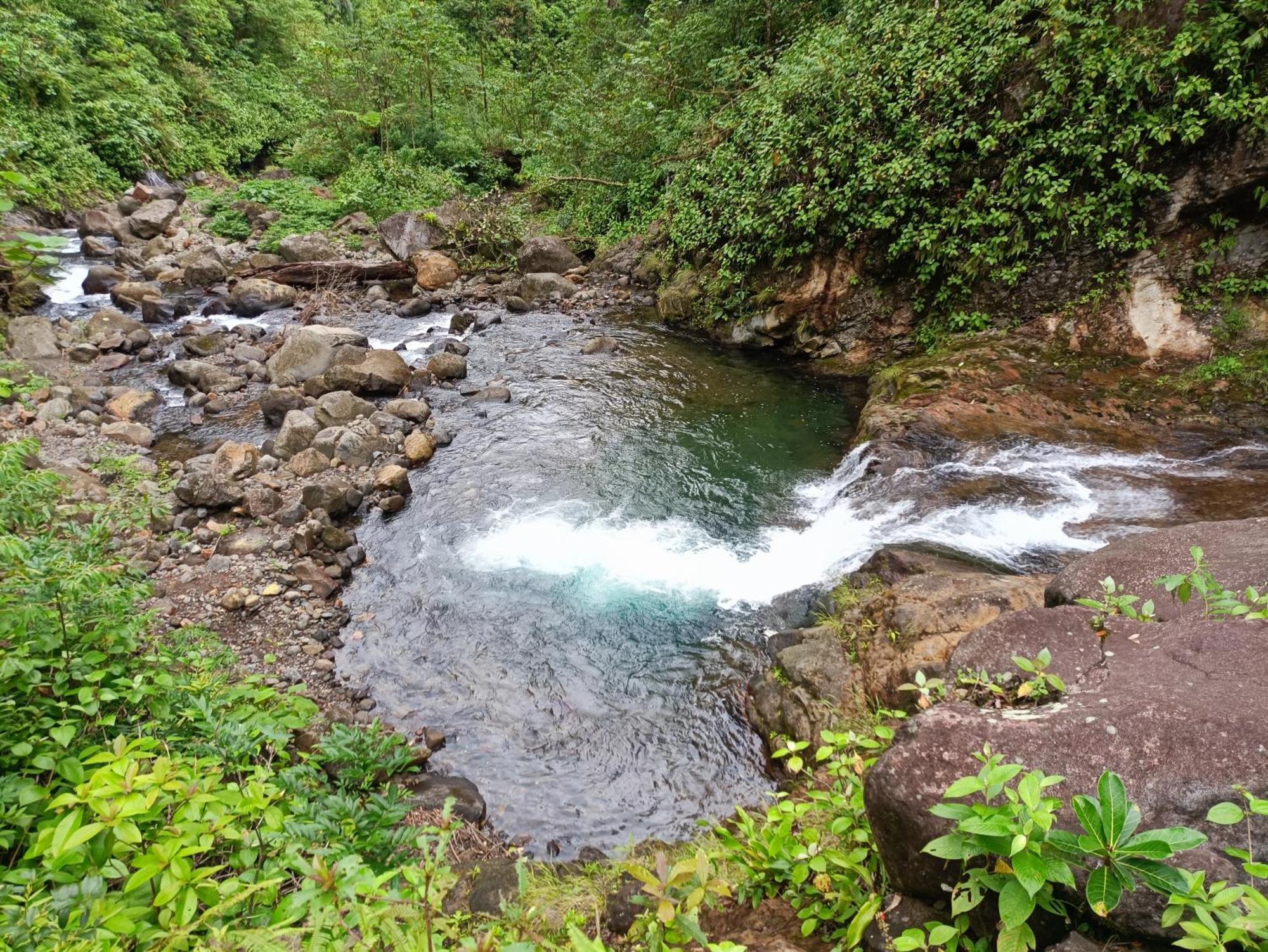 Bitzu Dome-Bijagua Riverside Glamping Buitenkant foto