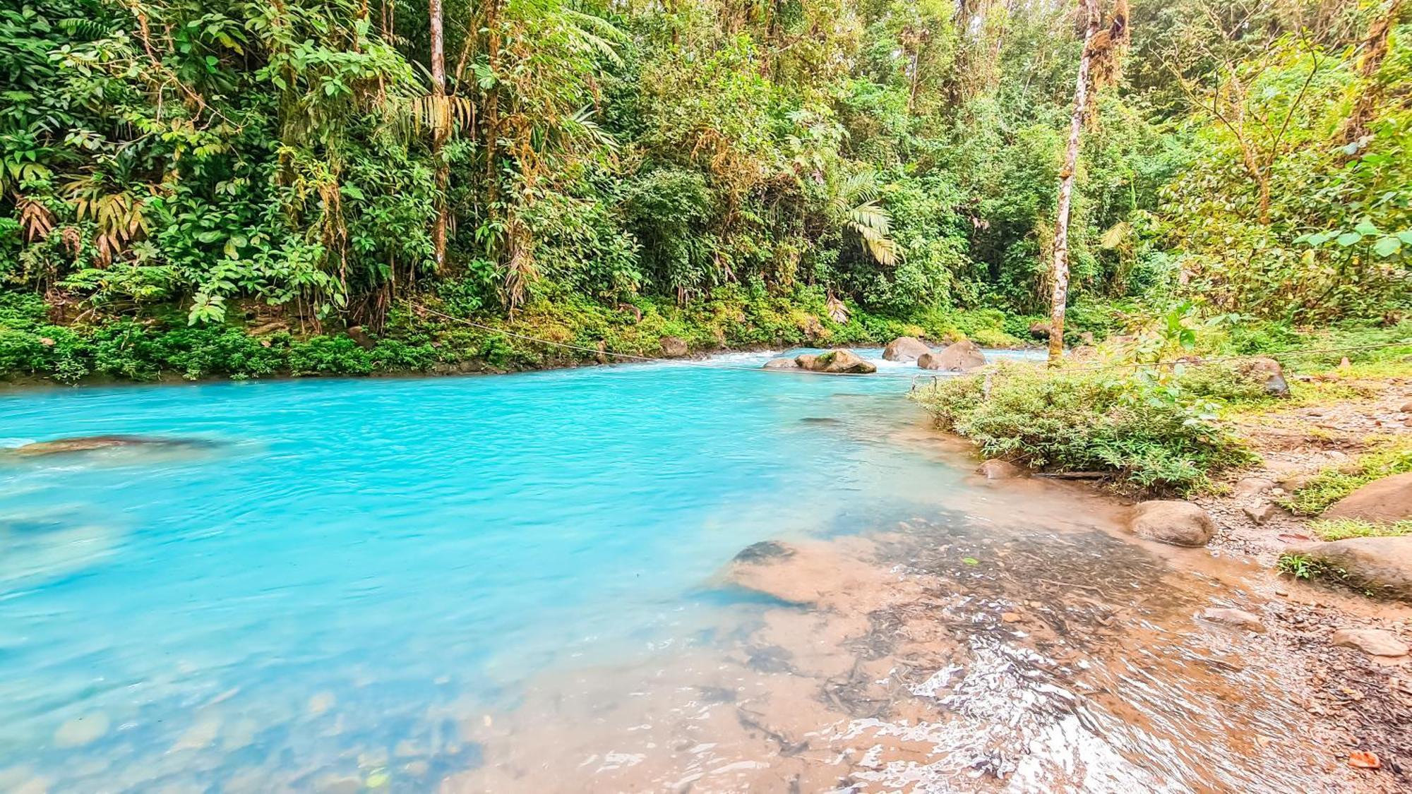 Bitzu Dome-Bijagua Riverside Glamping Buitenkant foto