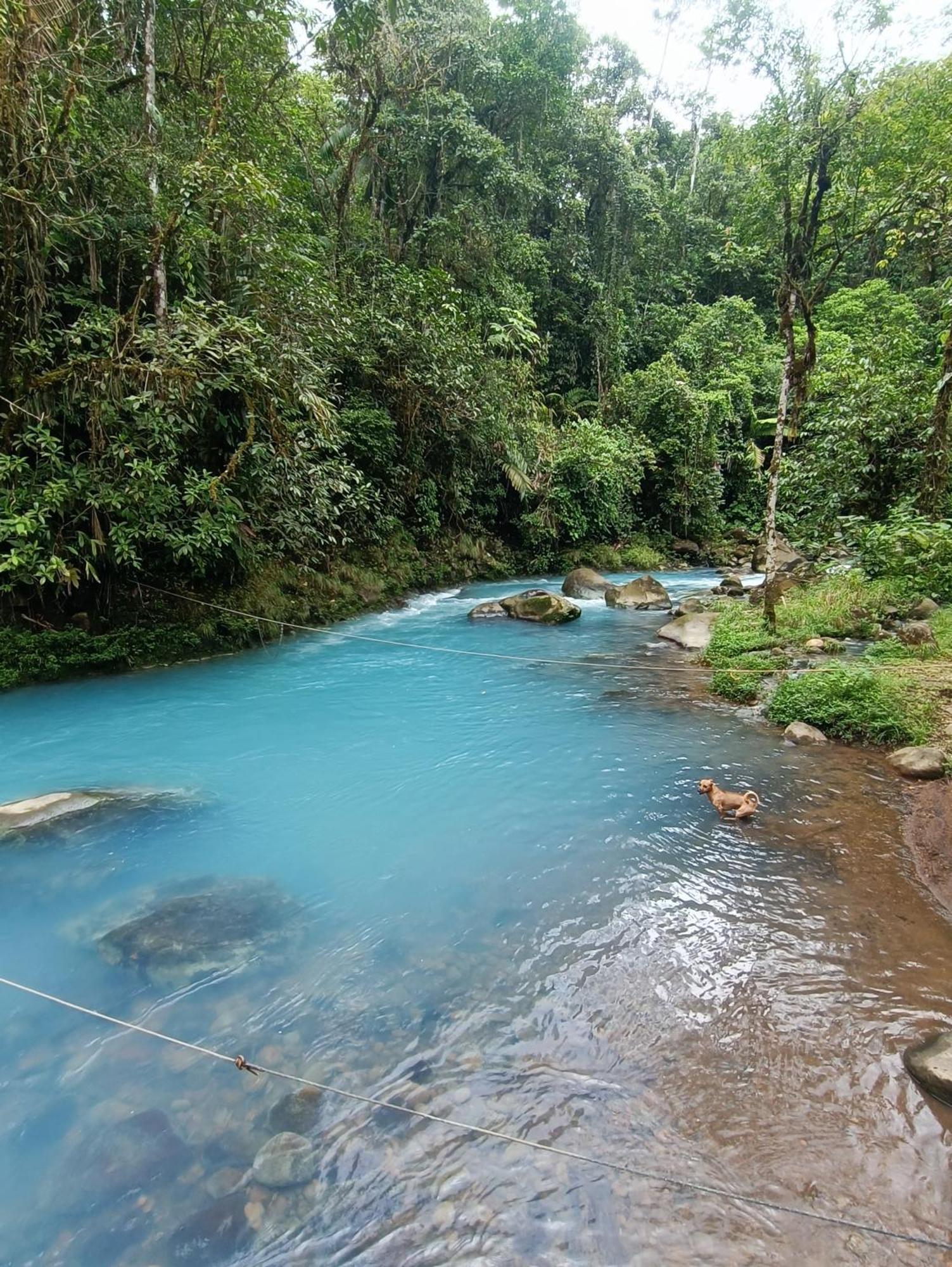 Bitzu Dome-Bijagua Riverside Glamping Buitenkant foto